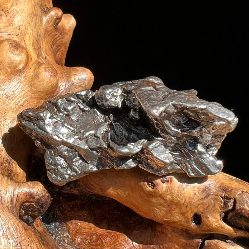 Campo Del Cielo Meteorite 29 grams #67-Moldavite Life
