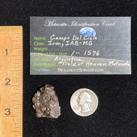 Campo Del Cielo Meteorite 29.1 grams #56-Moldavite Life