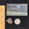 Campo Del Cielo Meteorite 29.2 grams #38-Moldavite Life