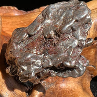 Campo Del Cielo Meteorite 30 grams #60-Moldavite Life