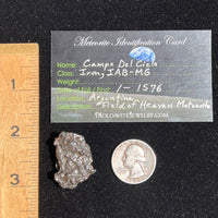 Campo Del Cielo Meteorite 32.7 grams #78-Moldavite Life