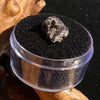 Campo Del Cielo Meteorite Bead Raw #11-Moldavite Life