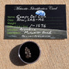 Campo Del Cielo Meteorite Bead Raw #18-Moldavite Life