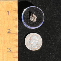 Campo Del Cielo Meteorite Bead Raw #19-Moldavite Life