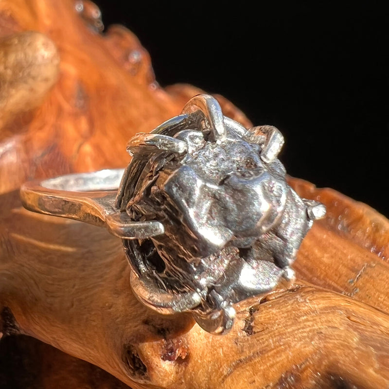 Campo Del Cielo Meteorite Ring Sterling Size 6.5 #3009-Moldavite Life