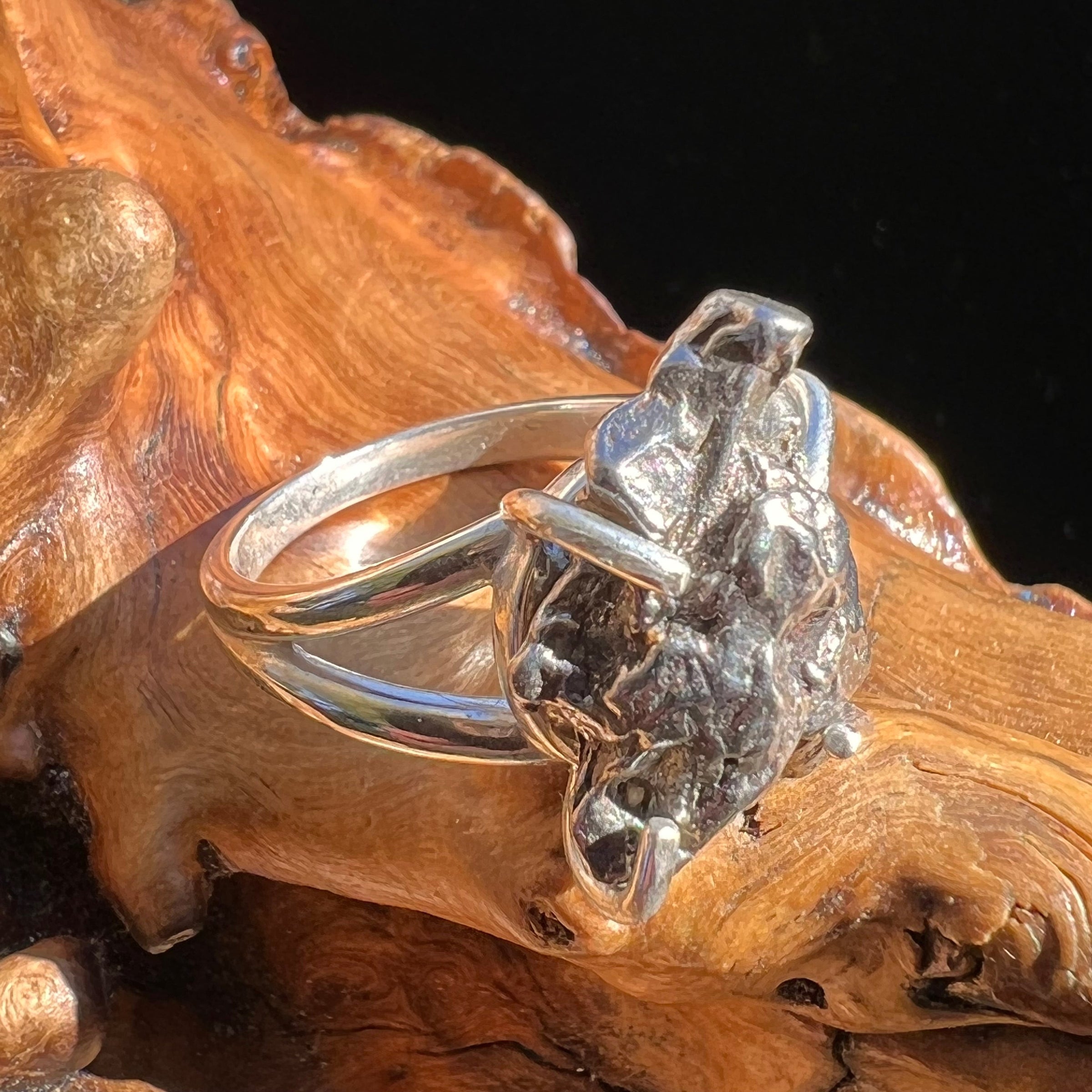 Campo Del Cielo Meteorite Ring Sterling Size 7 #3001-Moldavite Life