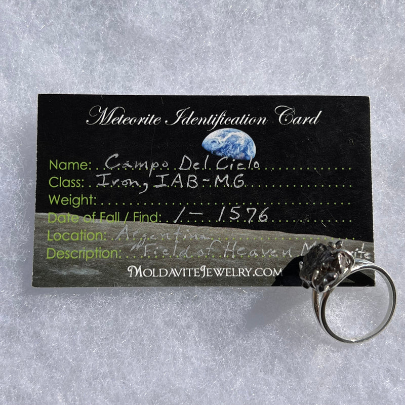 Campo Del Cielo Meteorite Ring Sterling Size 9 #2989-Moldavite Life