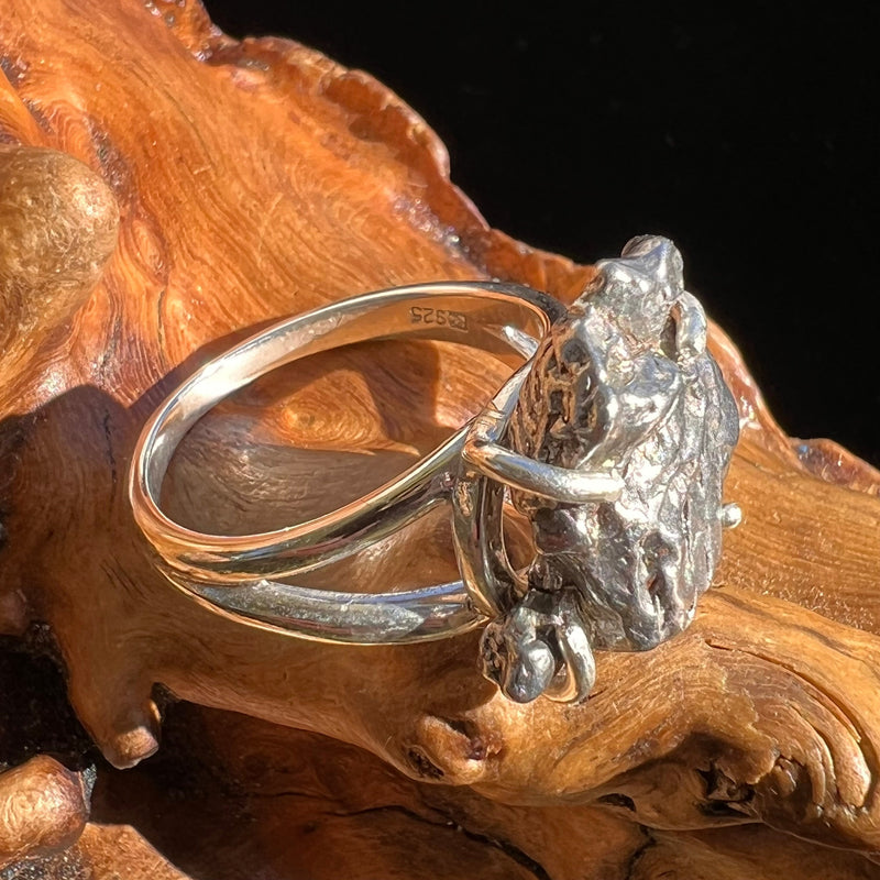 Campo Del Cielo Meteorite Ring Sterling Size 9 #2989-Moldavite Life