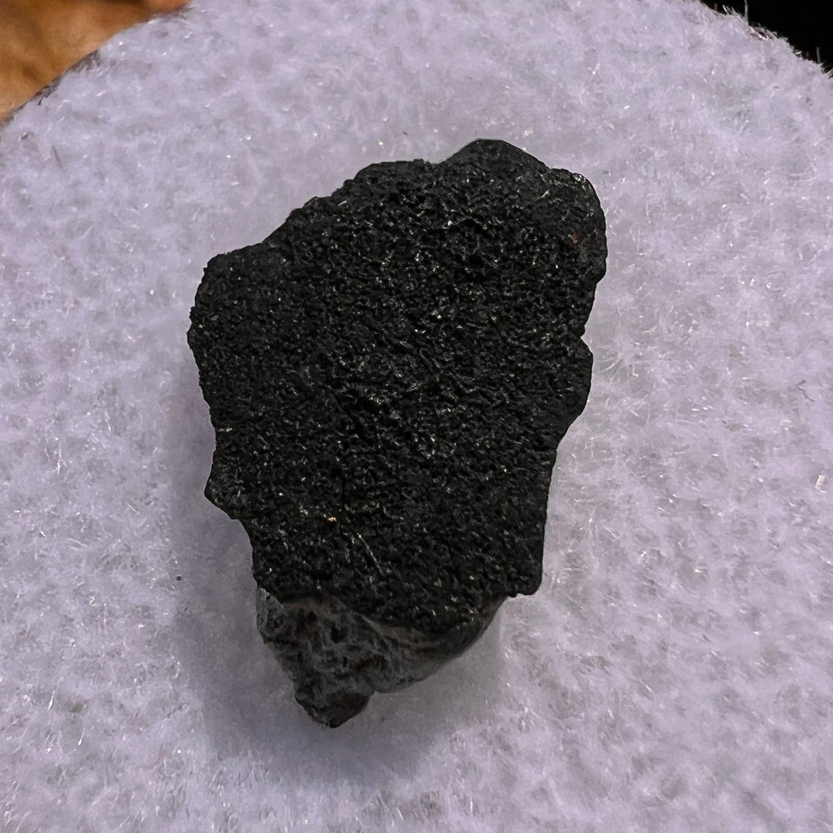 Chelyabinsk Meteorite Superbolide Asteroid 0.6 grams #77-Moldavite Life