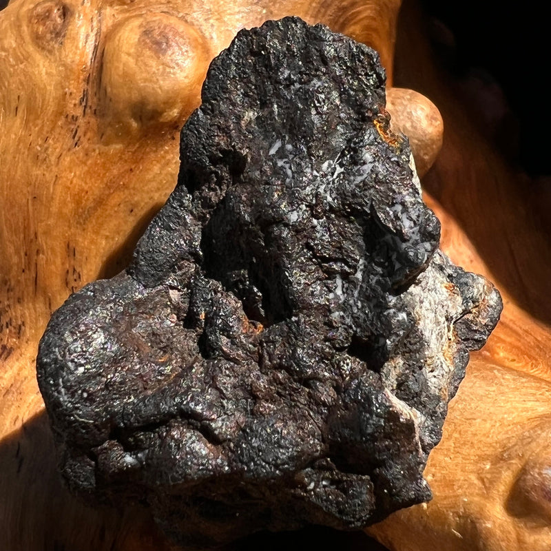 Chelyabinsk Meteorite Superbolide Asteroid 10.5 grams #91-Moldavite Life