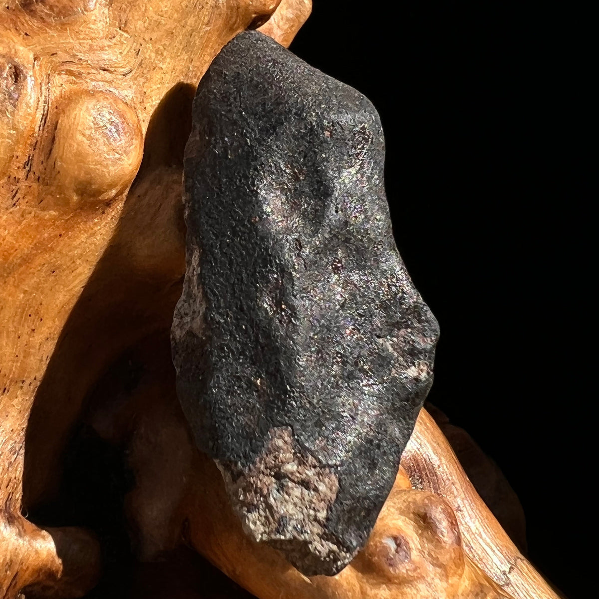 Chelyabinsk Meteorite Superbolide Asteroid 10.8 grams #85-Moldavite Life