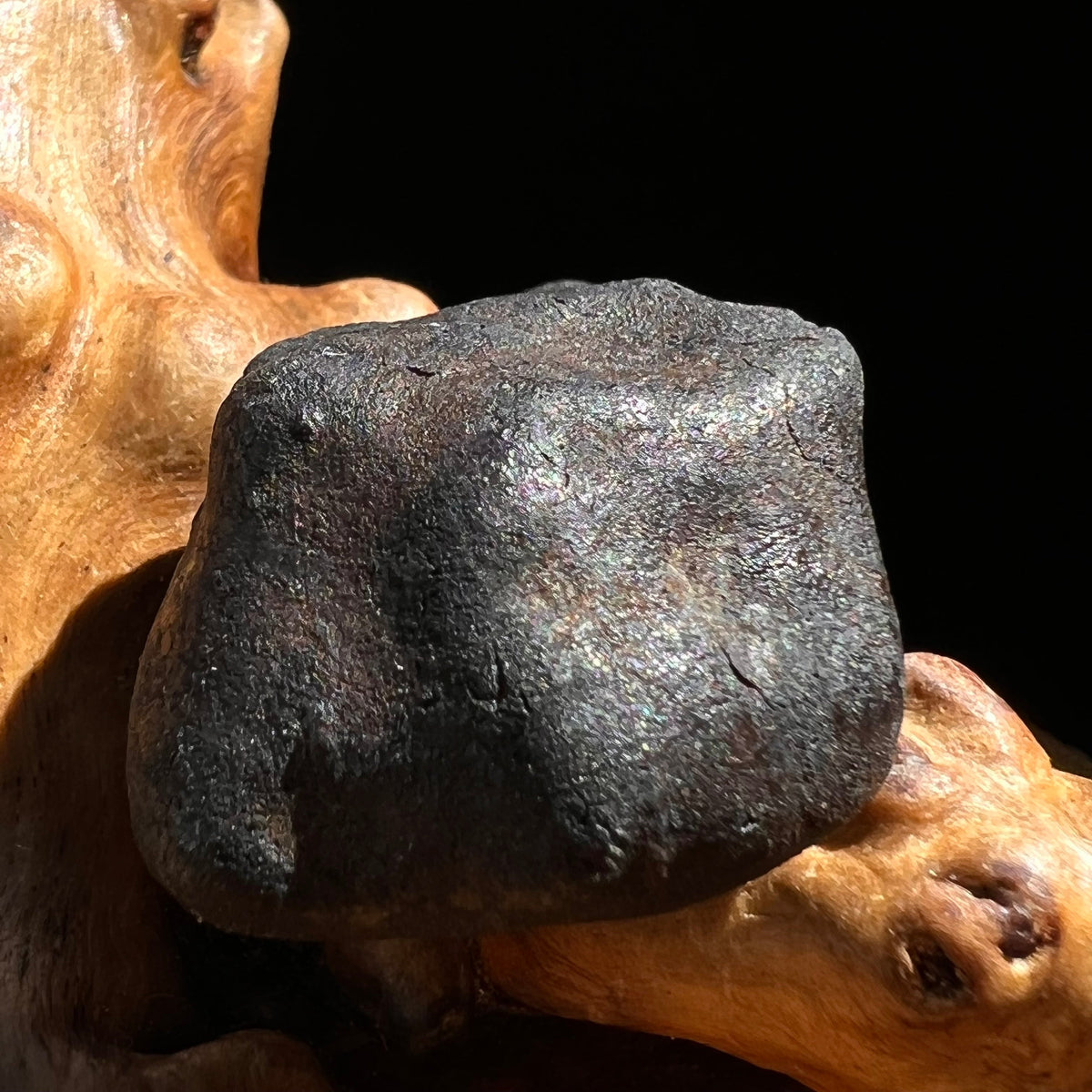 Chelyabinsk Meteorite Superbolide Asteroid 17.5 grams #90-Moldavite Life