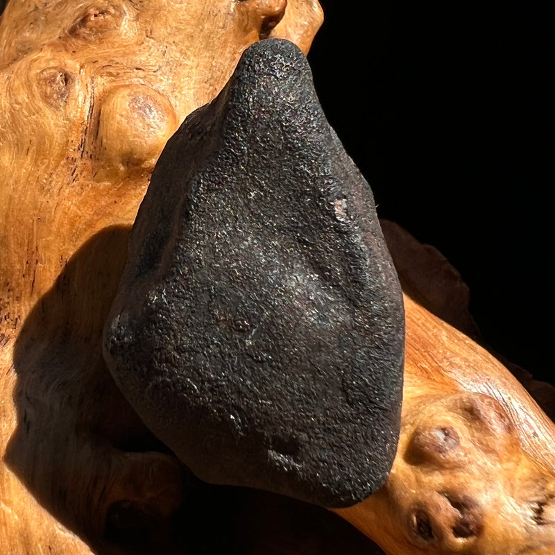 Chelyabinsk Meteorite Superbolide Asteroid 17.5 grams #90-Moldavite Life