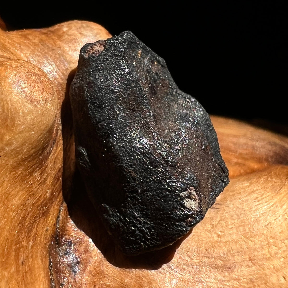 Chelyabinsk Meteorite Superbolide Asteroid 1.6 grams #53-Moldavite Life