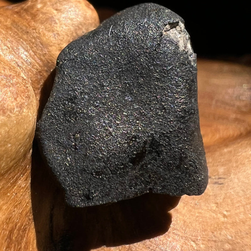 Chelyabinsk Meteorite Superbolide Asteroid 1.8 grams #54-Moldavite Life