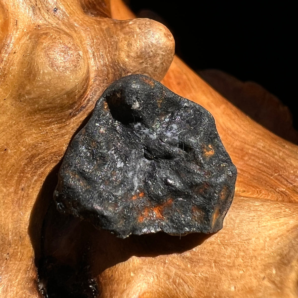 Chelyabinsk Meteorite Superbolide Asteroid 1.8 grams #54-Moldavite Life