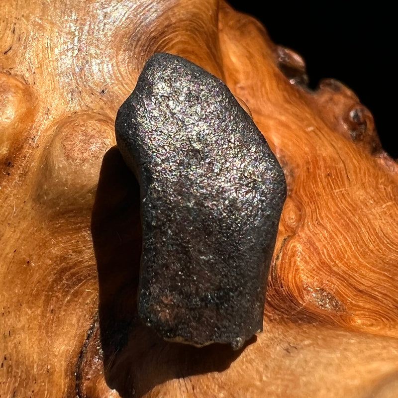 Chelyabinsk Meteorite Superbolide Asteroid 1.8 grams #61-Moldavite Life