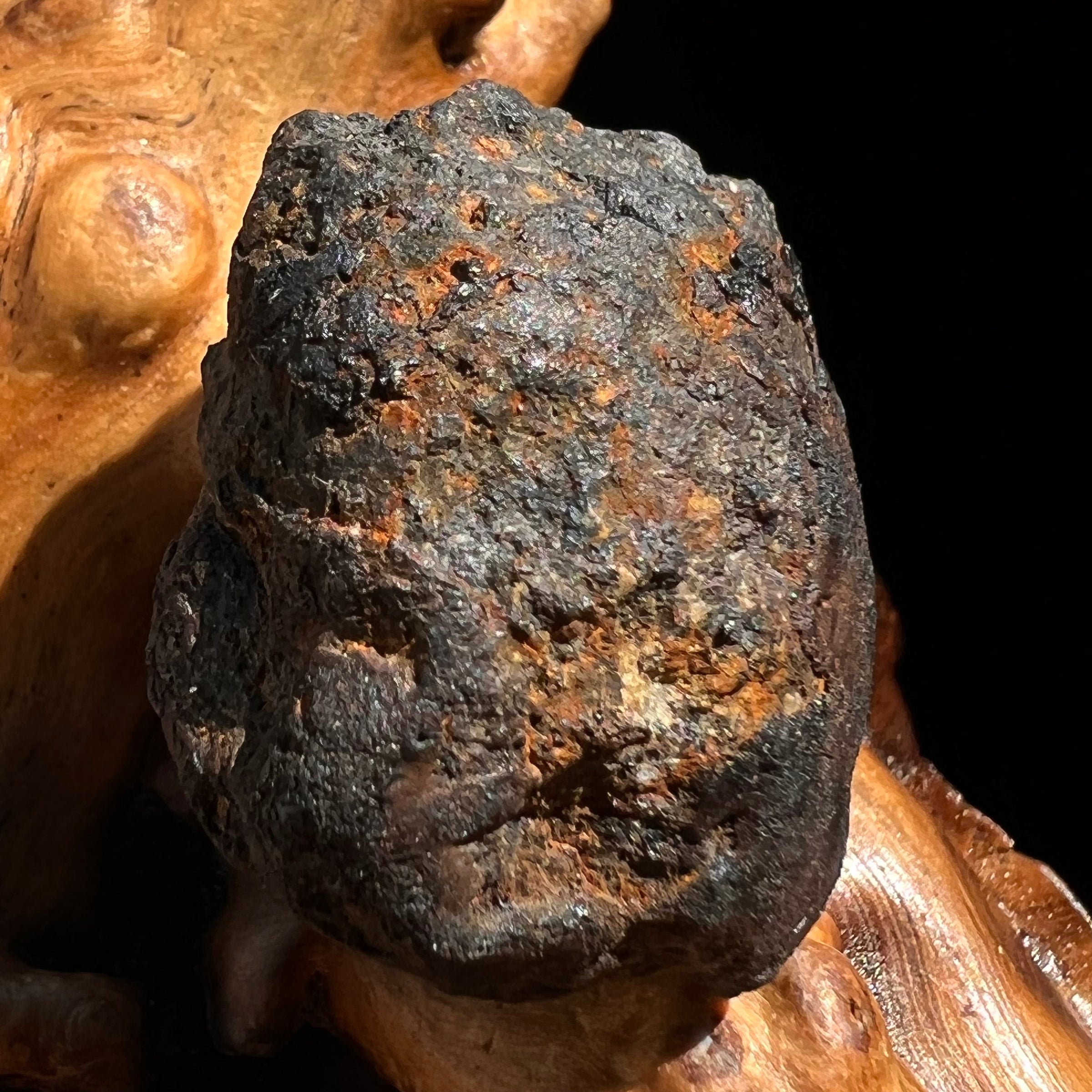 Chelyabinsk Meteorite Superbolide Asteroid 22.3 grams #88-Moldavite Life