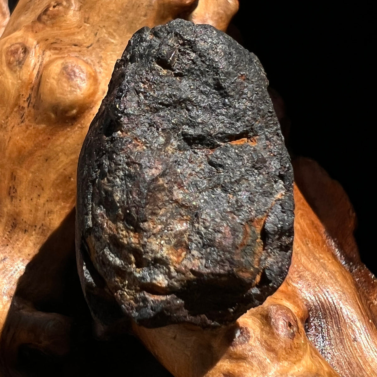 Chelyabinsk Meteorite Superbolide Asteroid 22.3 grams #88-Moldavite Life