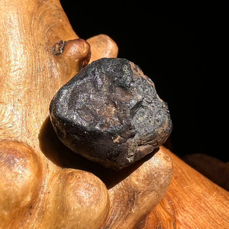 Chelyabinsk Meteorite Superbolide Asteroid 2.1 grams #39-Moldavite Life