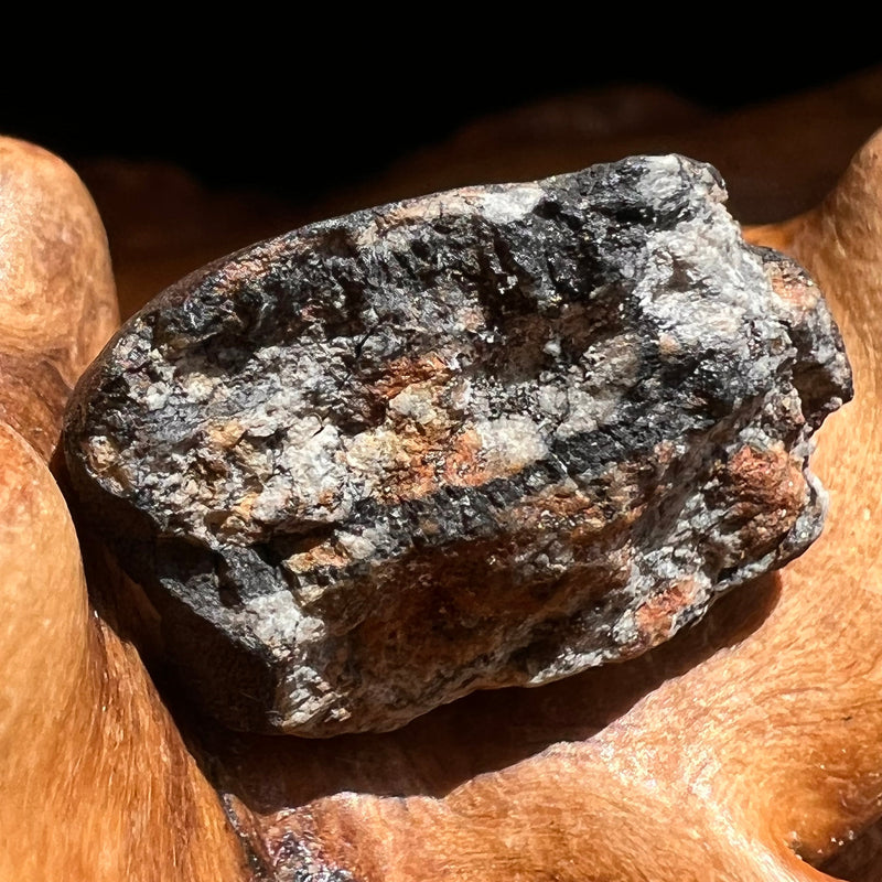 Chelyabinsk Meteorite Superbolide Asteroid 2.2 grams #28-Moldavite Life