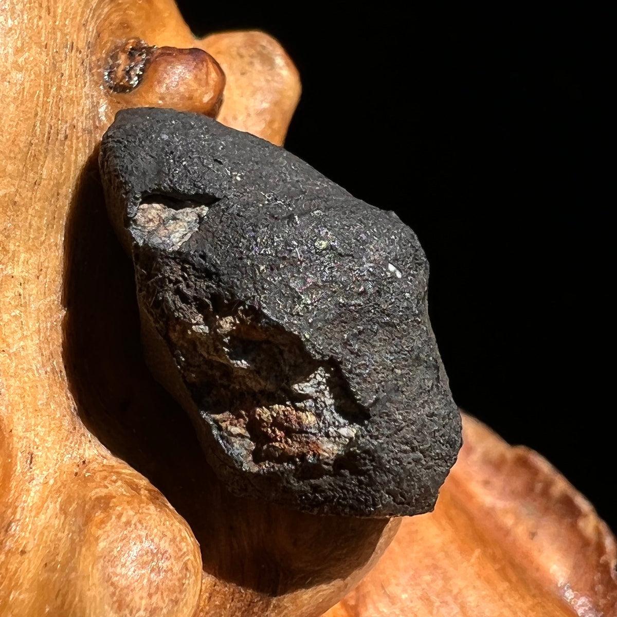 Chelyabinsk Meteorite Superbolide Asteroid 2.3 grams #44-Moldavite Life