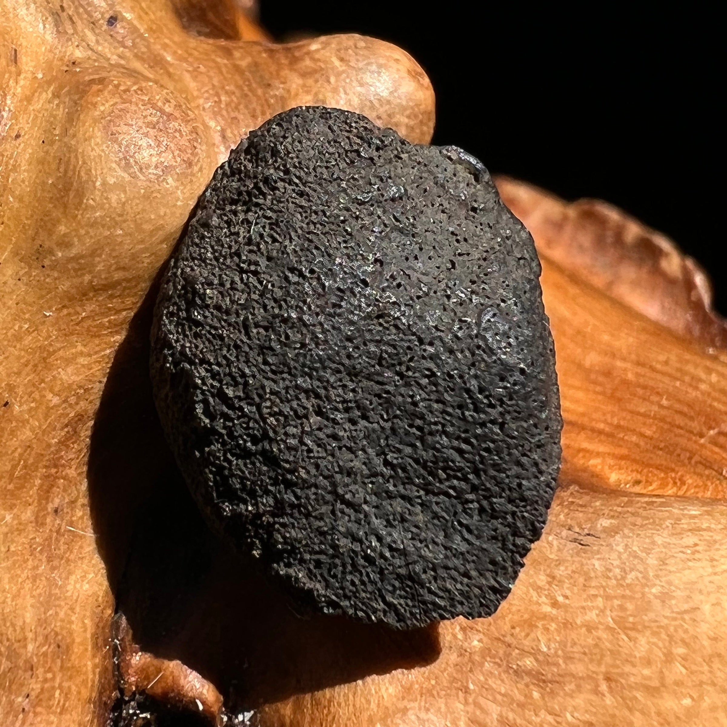 Chelyabinsk Meteorite Superbolide Asteroid 2.3 grams #48-Moldavite Life