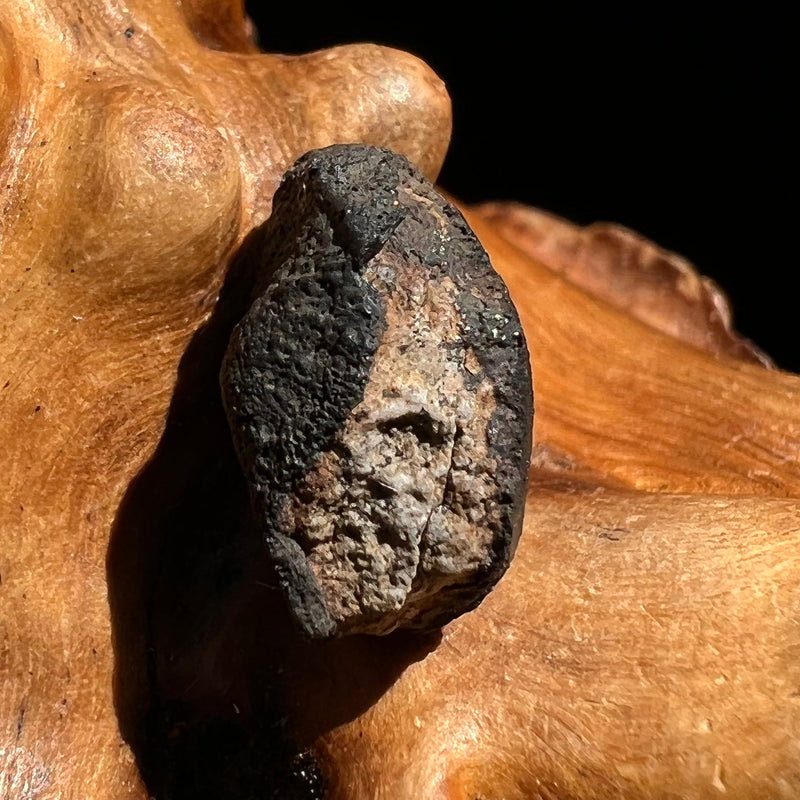 Chelyabinsk Meteorite Superbolide Asteroid 2.3 grams #48-Moldavite Life