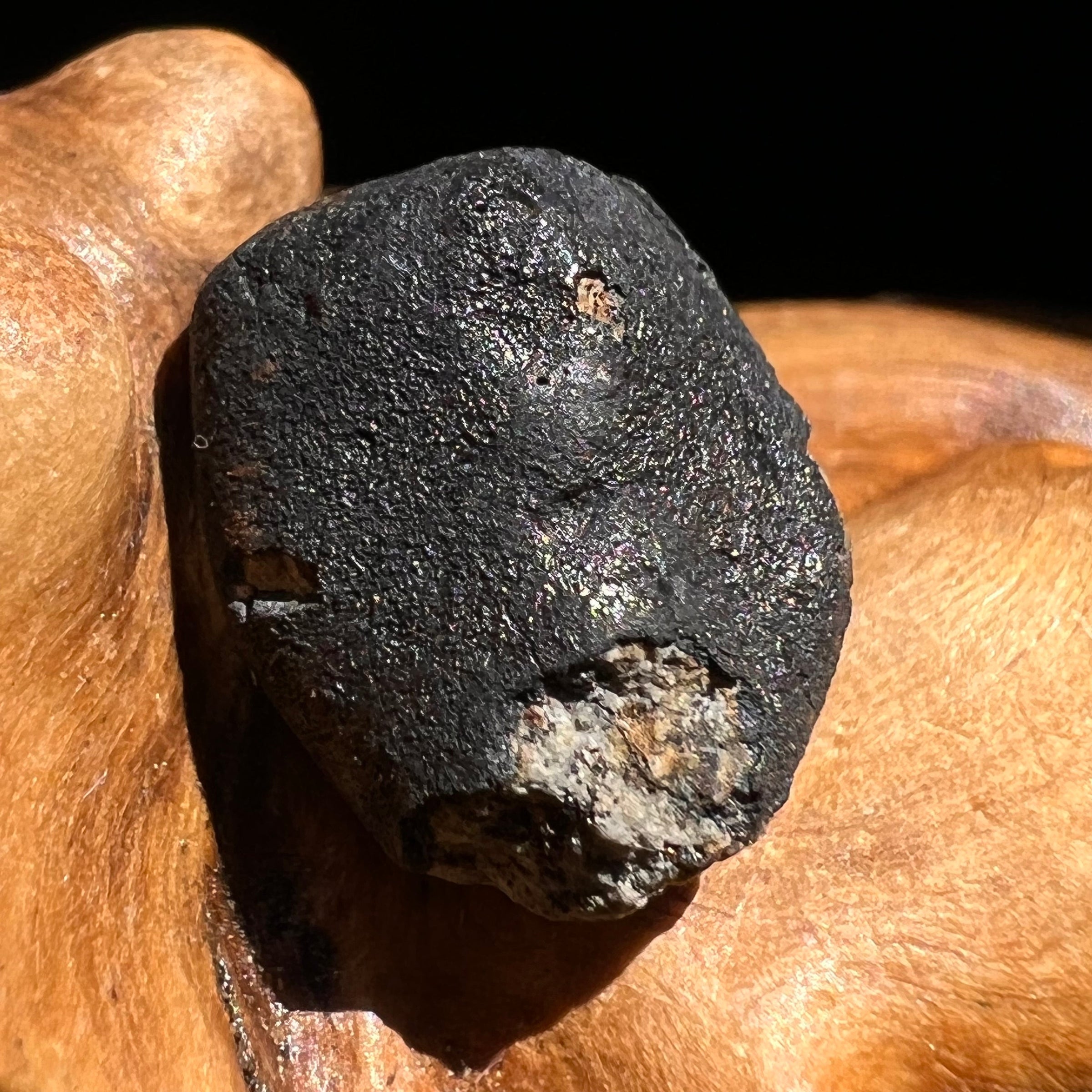 Chelyabinsk Meteorite Superbolide Asteroid 2.3 grams #57-Moldavite Life
