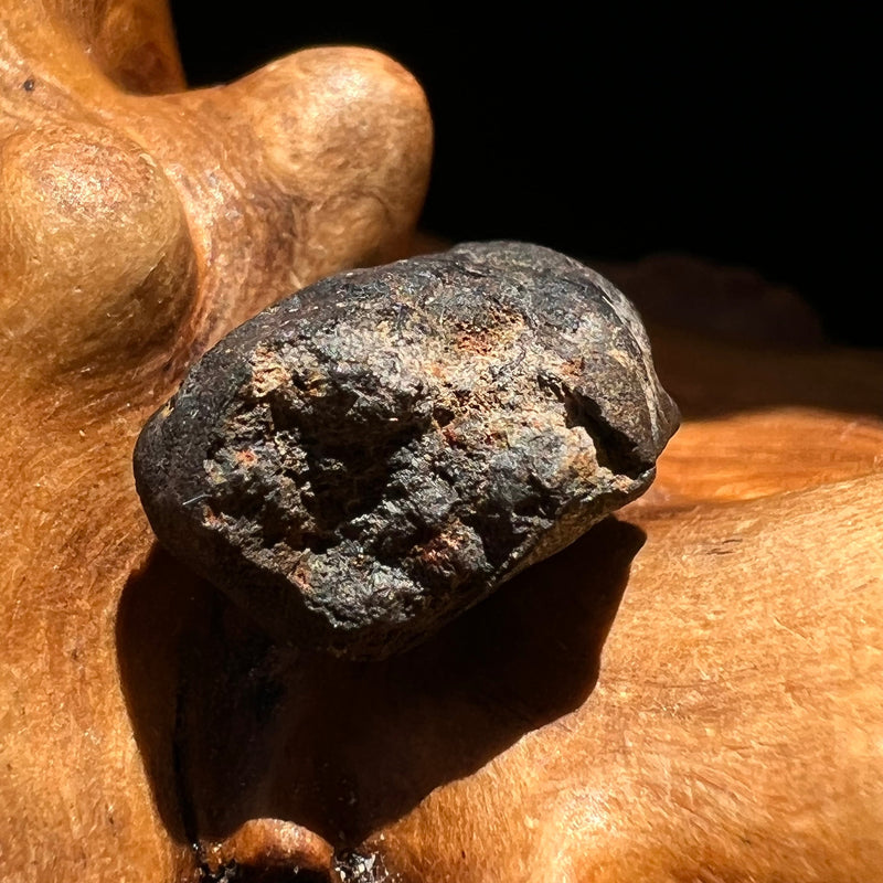 Chelyabinsk Meteorite Superbolide Asteroid 2.3 grams #59-Moldavite Life