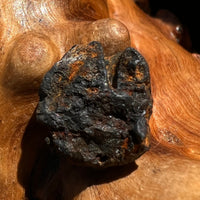 Chelyabinsk Meteorite Superbolide Asteroid 2.3 grams #62-Moldavite Life