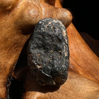 Chelyabinsk Meteorite Superbolide Asteroid 2.3 grams #76-Moldavite Life