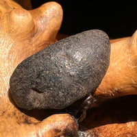 Chelyabinsk Meteorite Superbolide Asteroid 2.4 grams #20-Moldavite Life