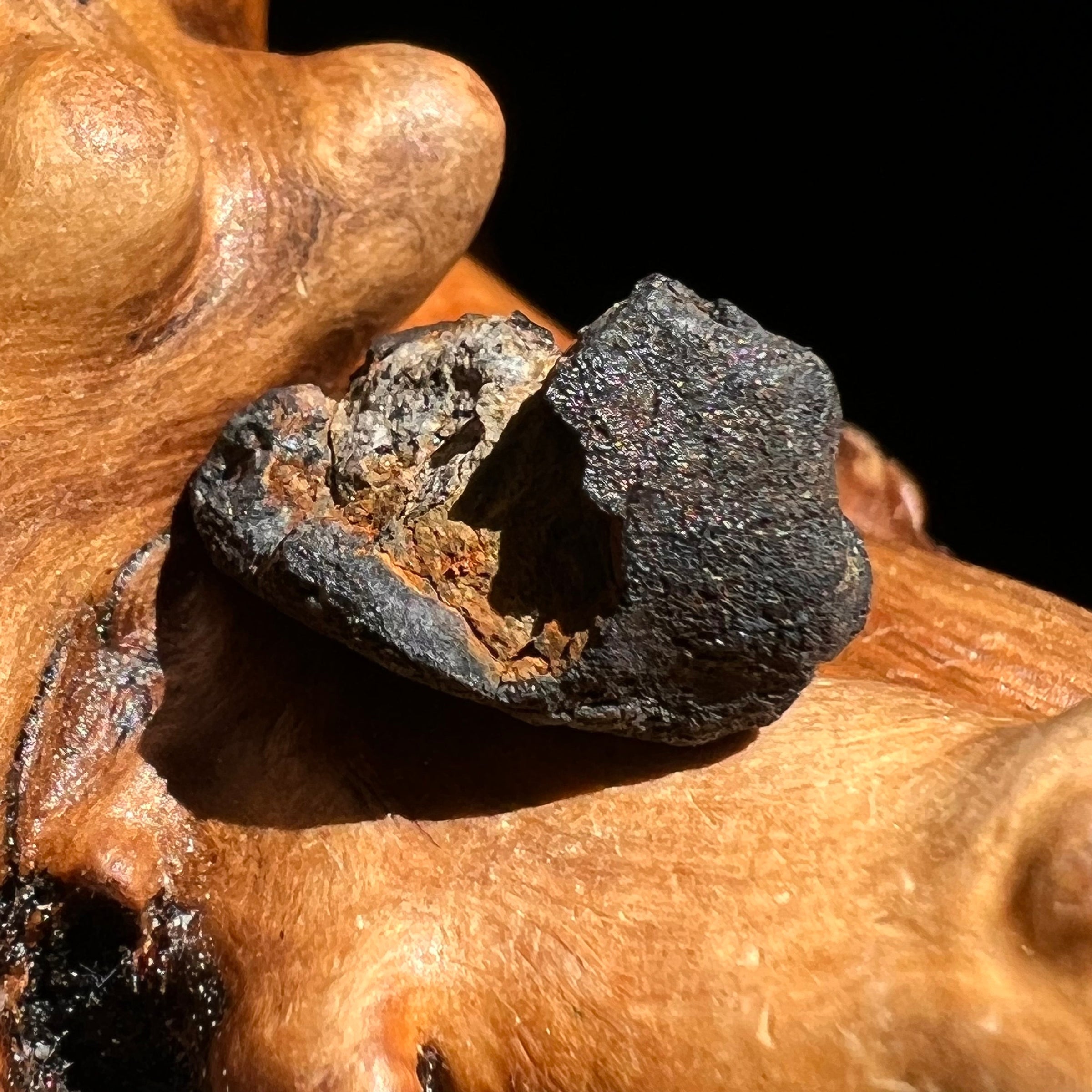 Chelyabinsk Meteorite Superbolide Asteroid 2.4 grams #33-Moldavite Life