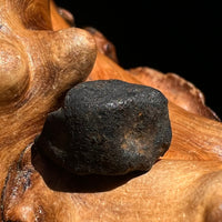 Chelyabinsk Meteorite Superbolide Asteroid 2.4 grams #49-Moldavite Life