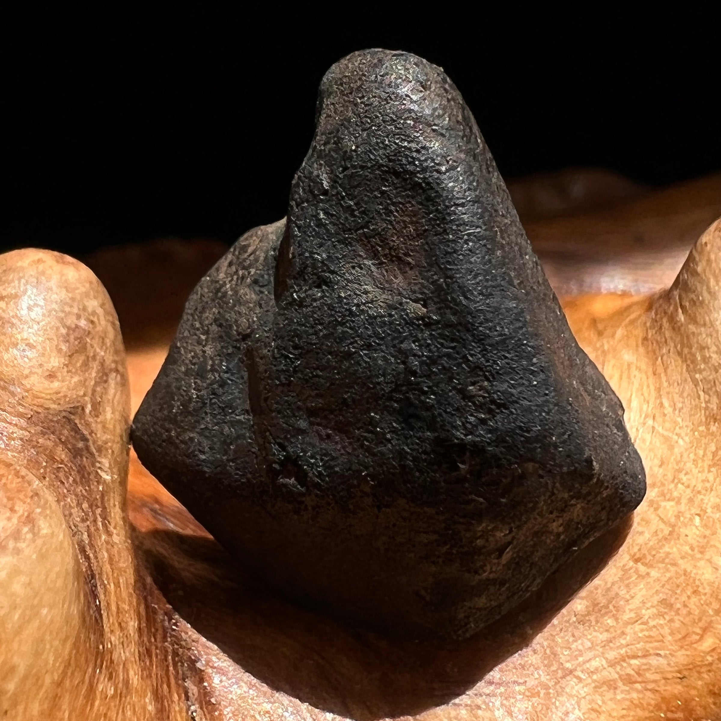 Chelyabinsk Meteorite Superbolide Asteroid 2.5 grams #27-Moldavite Life