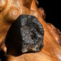 Chelyabinsk Meteorite Superbolide Asteroid 2.6 grams #35-Moldavite Life