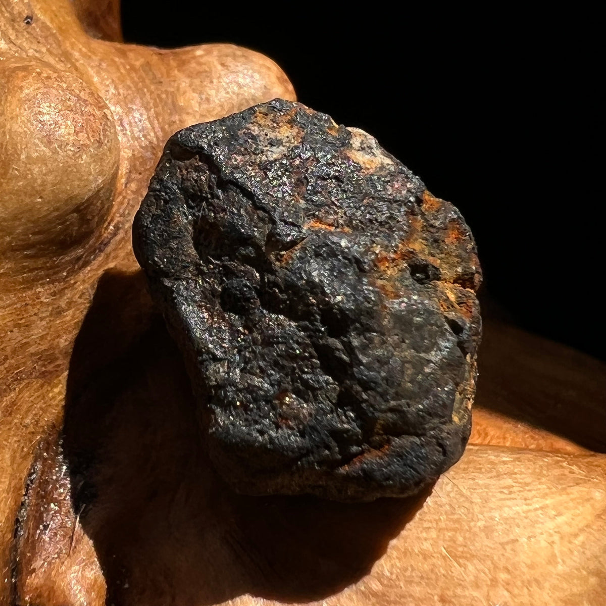 Chelyabinsk Meteorite Superbolide Asteroid 2.7 grams #63-Moldavite Life