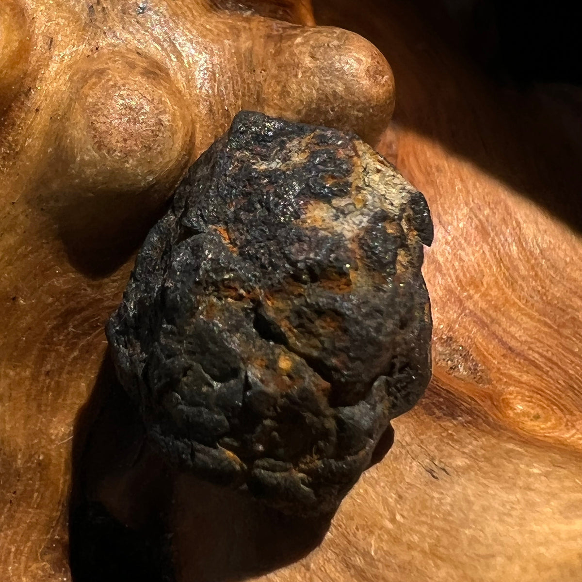Chelyabinsk Meteorite Superbolide Asteroid 2.7 grams #63-Moldavite Life