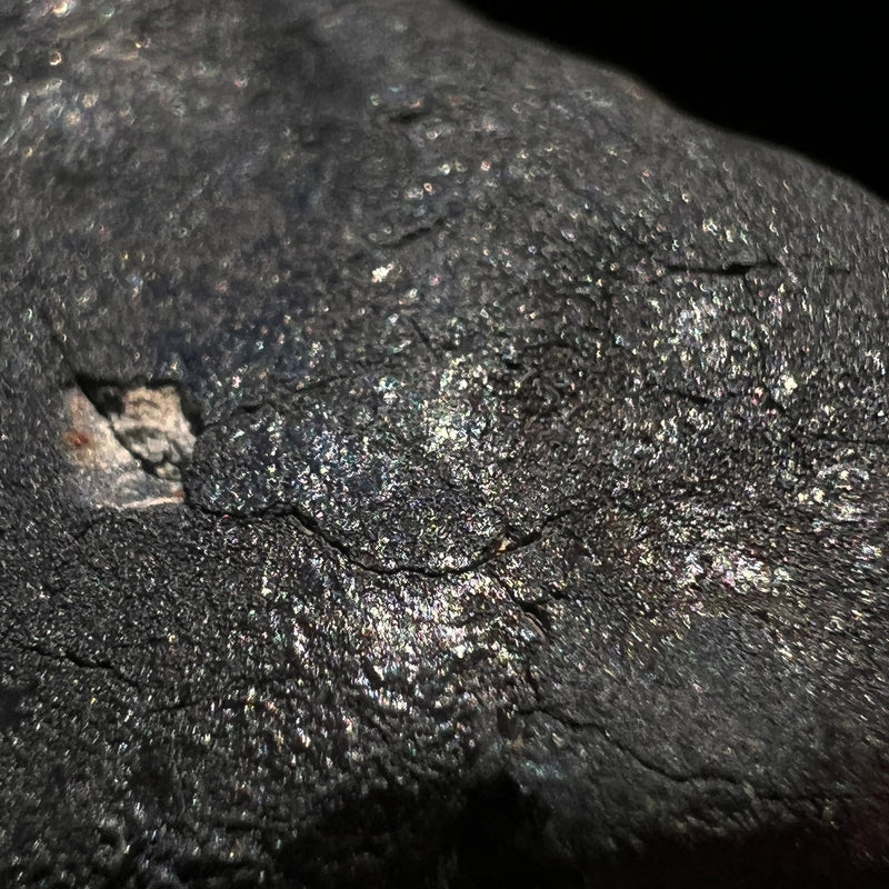 Chelyabinsk Meteorite Superbolide Asteroid 31.5 grams #87-Moldavite Life