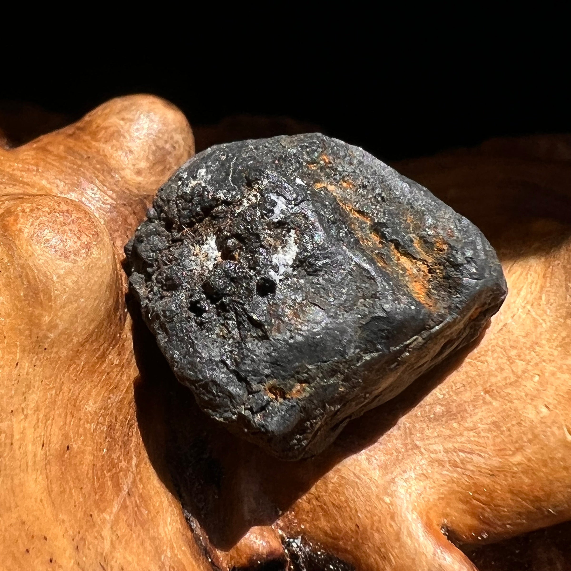 Chelyabinsk Meteorite Superbolide Asteroid 3.1 grams #26-Moldavite Life