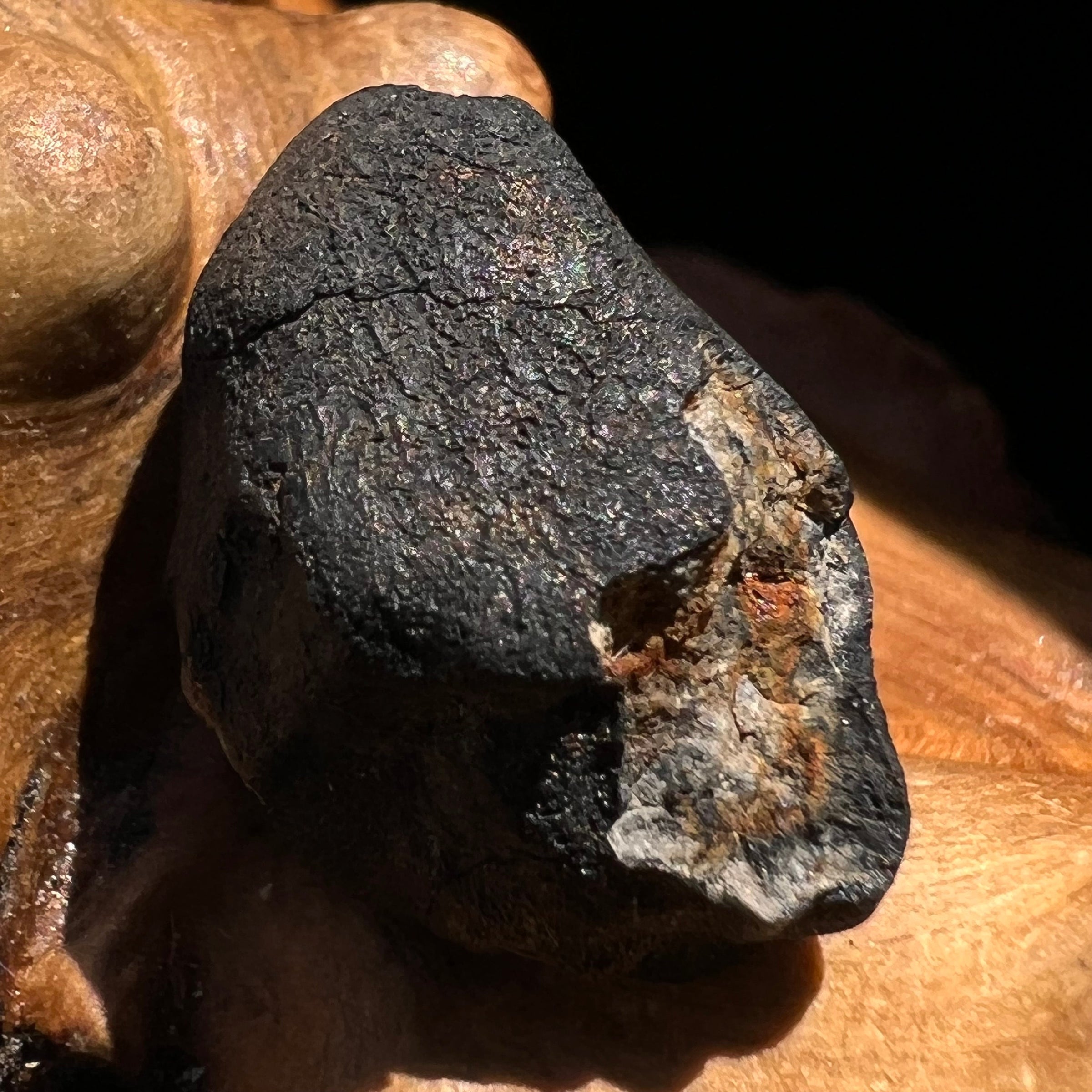 Chelyabinsk Meteorite Superbolide Asteroid 3.1 grams #73-Moldavite Life
