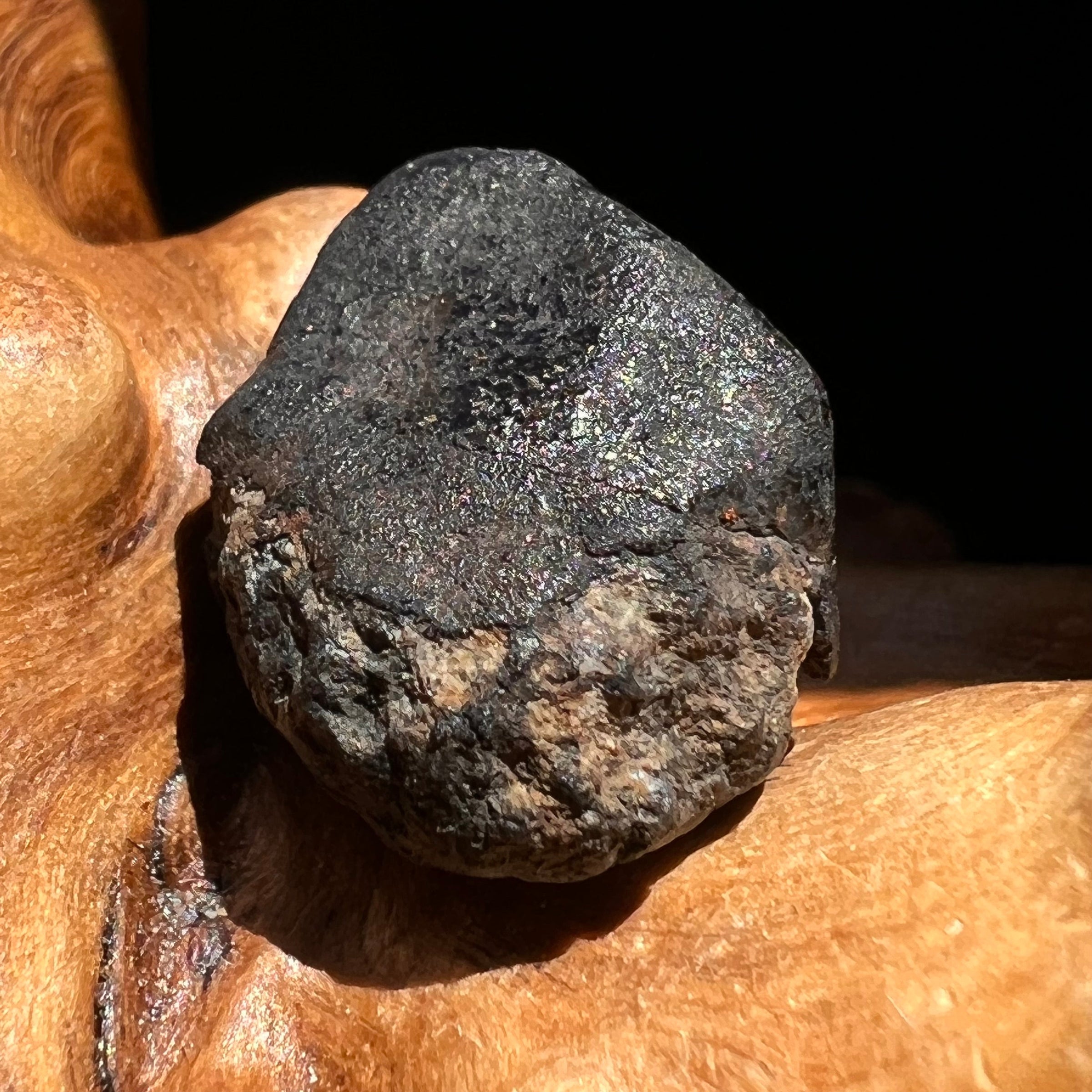 Chelyabinsk Meteorite Superbolide Asteroid 3.2 grams #29-Moldavite Life