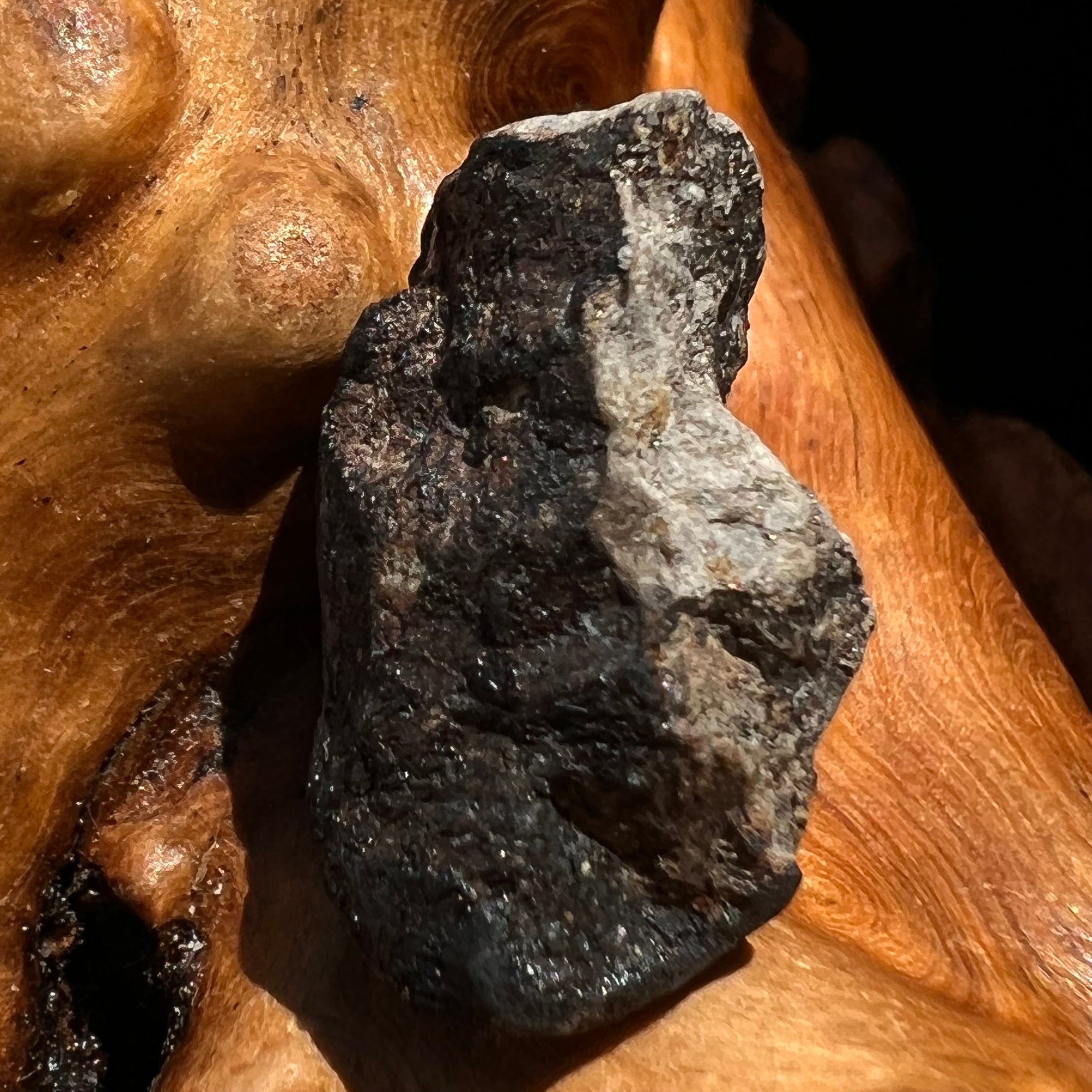 Chelyabinsk Meteorite Superbolide Asteroid 3.2 grams #74-Moldavite Life