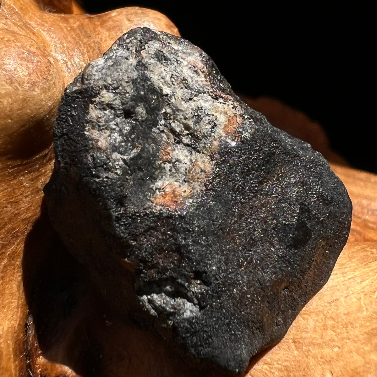 Chelyabinsk Meteorite Superbolide Asteroid 3.3 grams #69-Moldavite Life