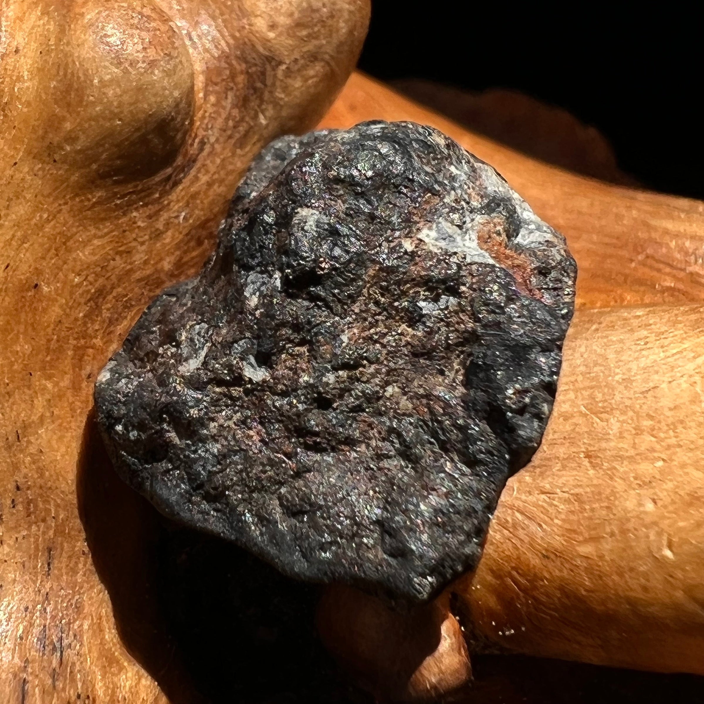 Chelyabinsk Meteorite Superbolide Asteroid 3.3 grams #69-Moldavite Life