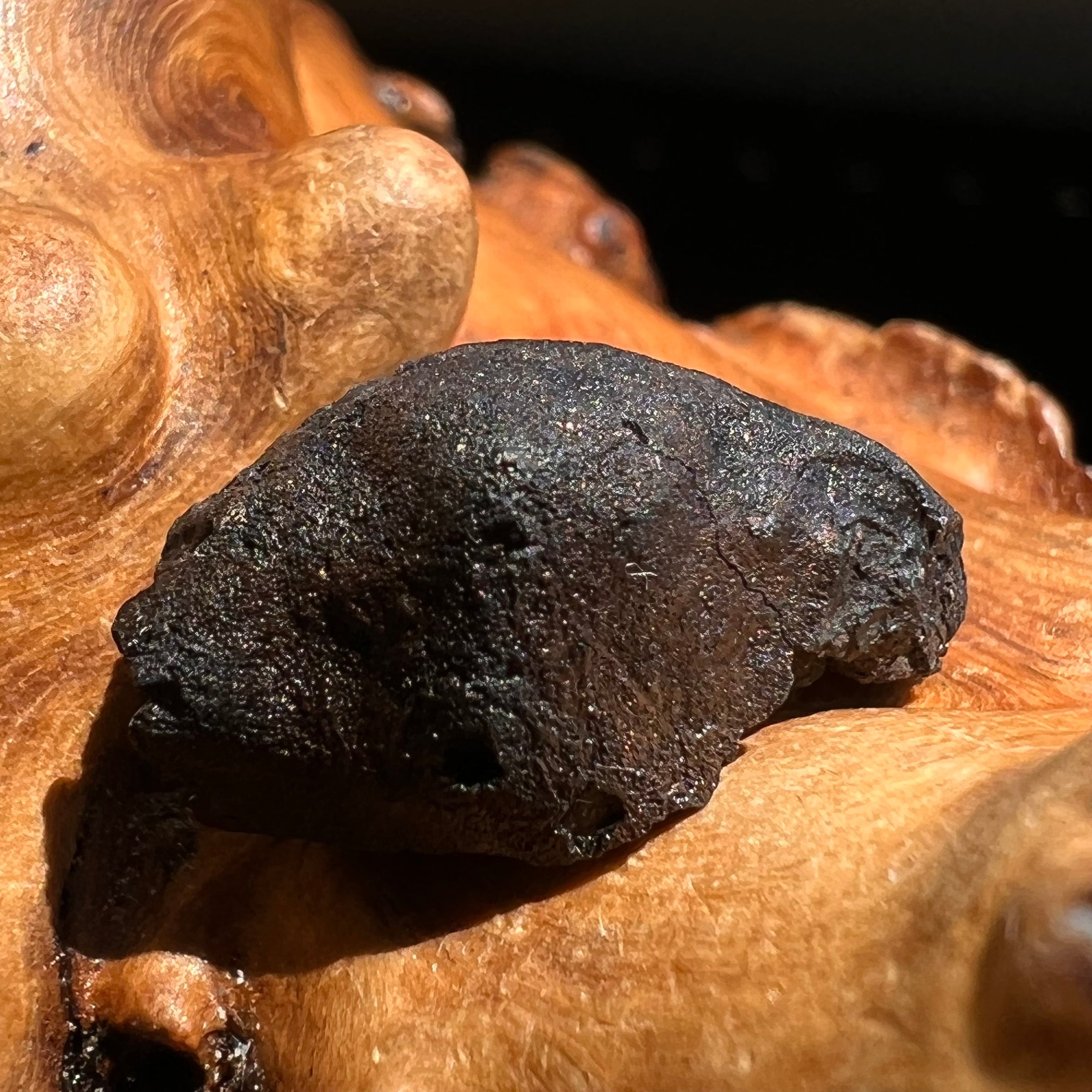 Chelyabinsk Meteorite Superbolide Asteroid 3.4 grams #21-Moldavite Life
