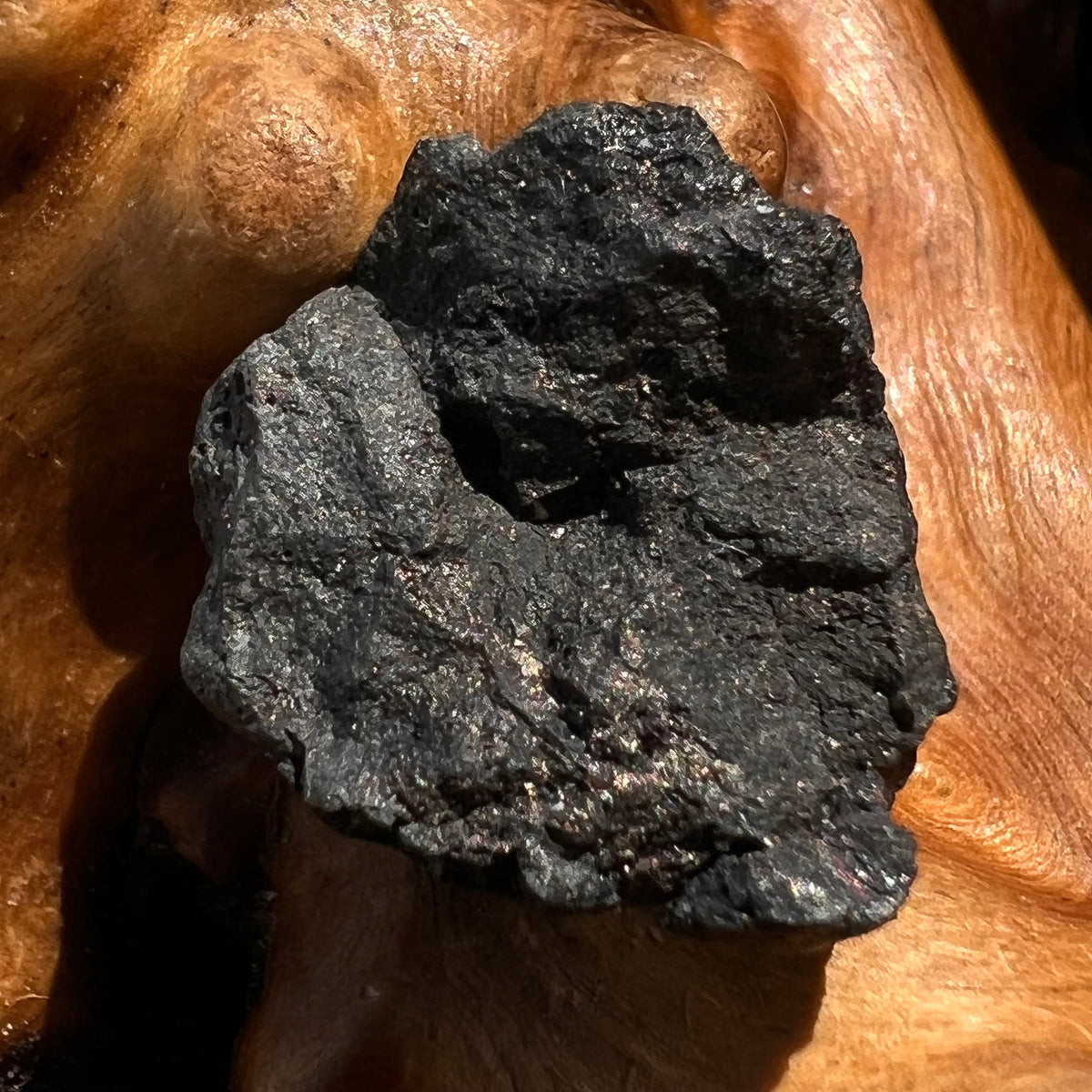 Chelyabinsk Meteorite Superbolide Asteroid 3.4 grams #72-Moldavite Life