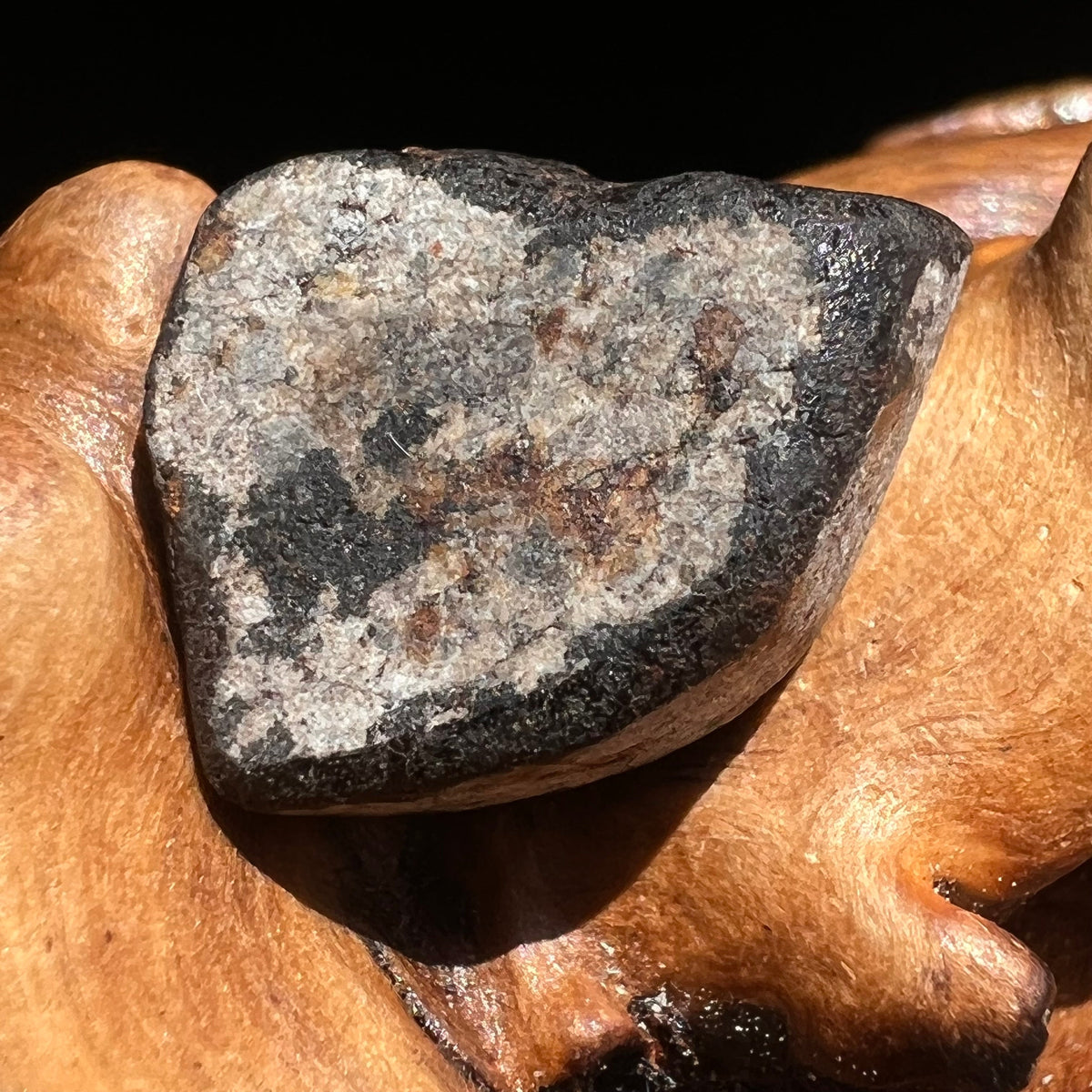 Chelyabinsk Meteorite Superbolide Asteroid 3.5 grams #19-Moldavite Life