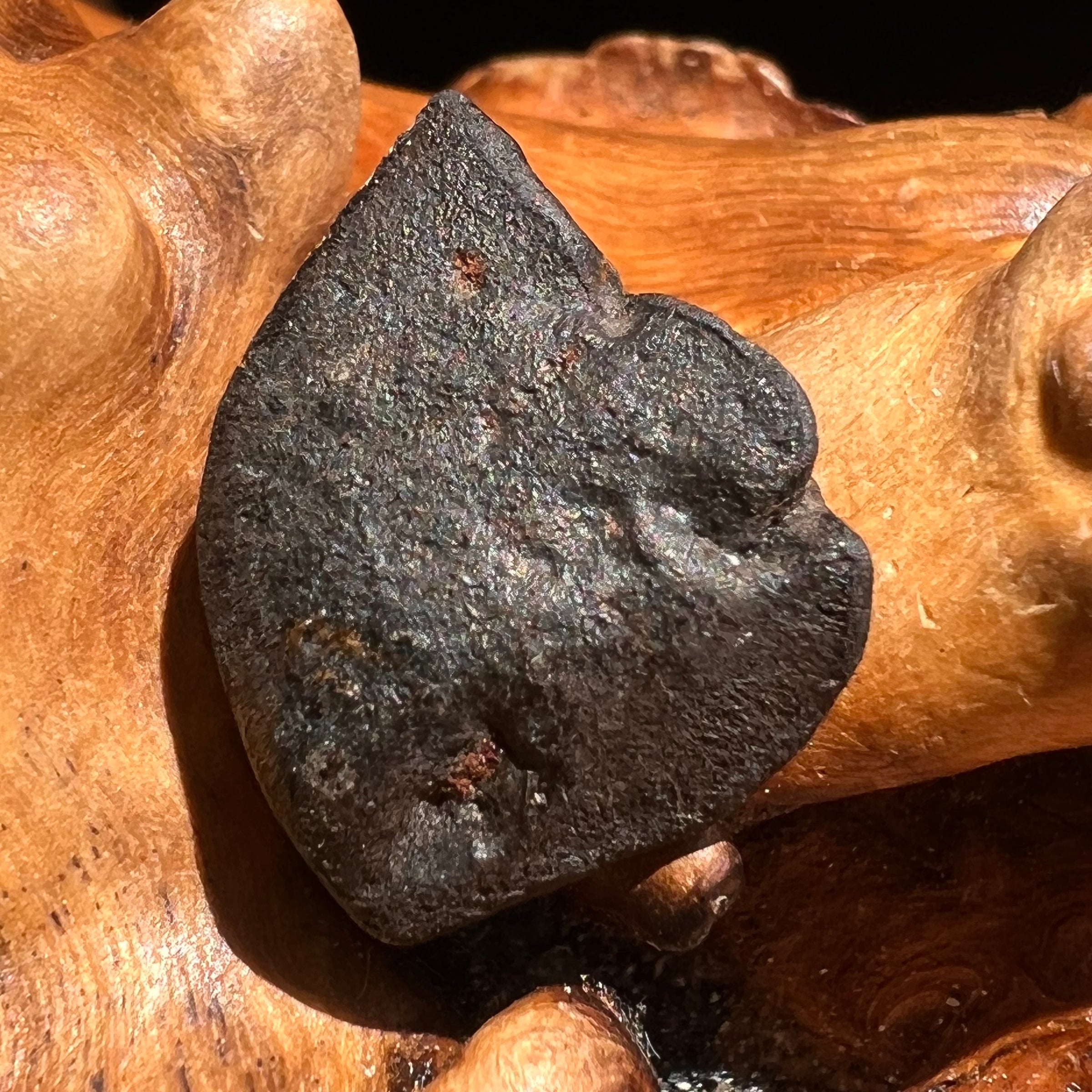 Chelyabinsk Meteorite Superbolide Asteroid 3.5 grams #19-Moldavite Life